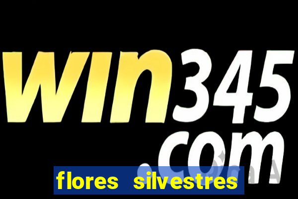 flores silvestres desbravadores desbravadores 25